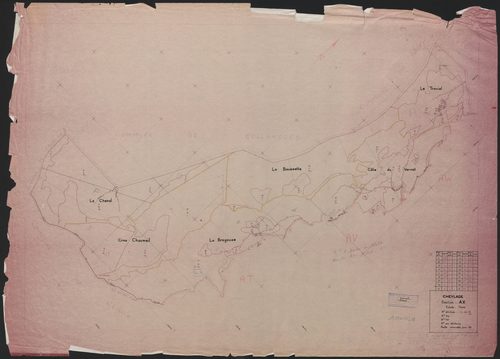 Section AX