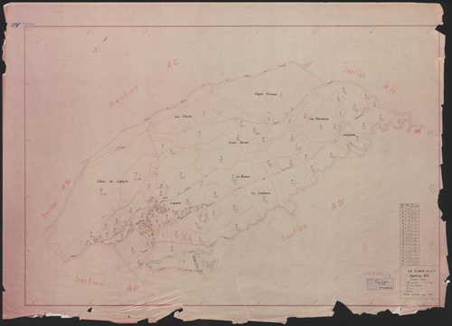 Section AO