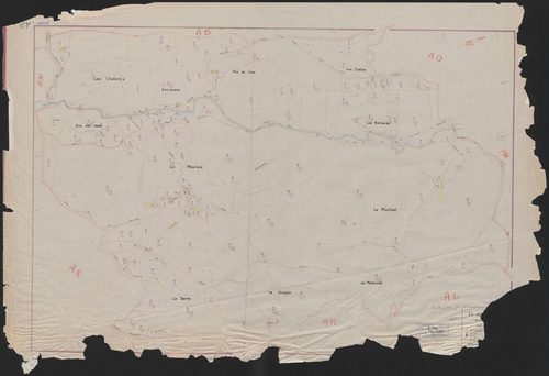 Section AP