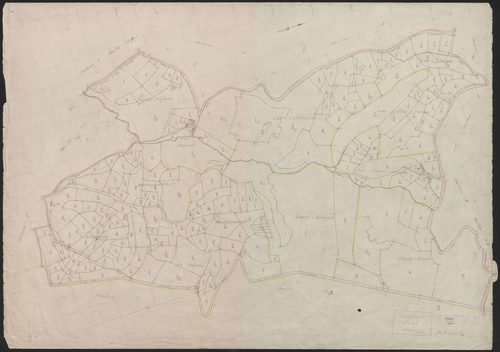 Section C : 1ère et 2e feuilles