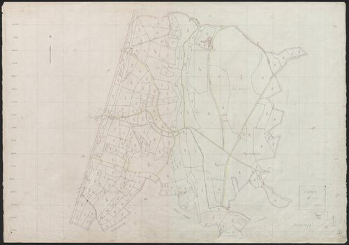 Section D