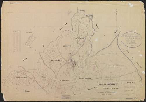 Section C1