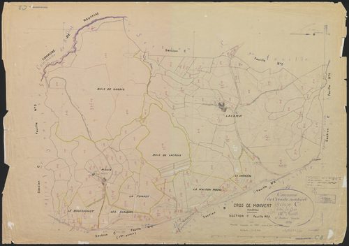 Section C3