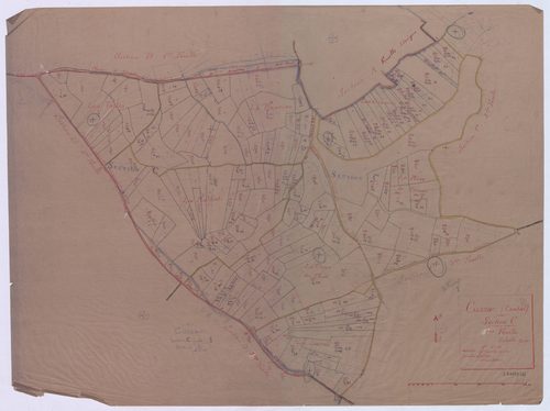 Section C1