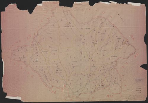 Section AI
