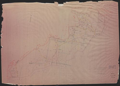 Section AP