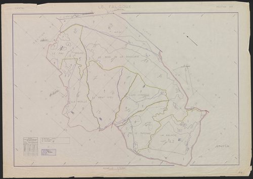 Section AM