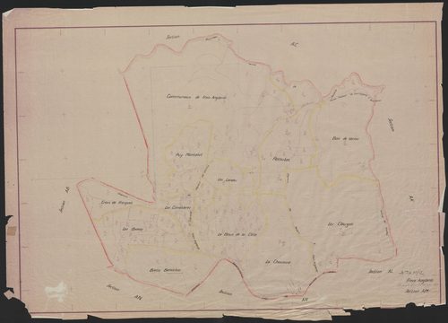 Section AM