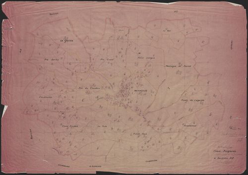 Section AP