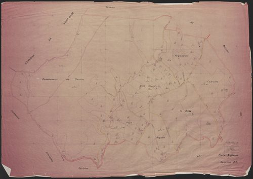Section AS