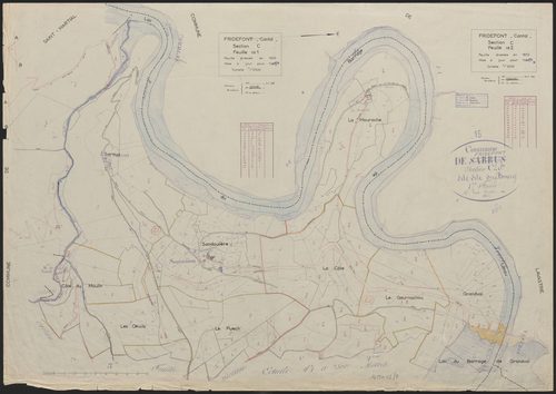 Section C : 1ère feuille et 2e feuille