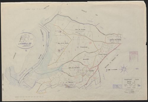 Section C3