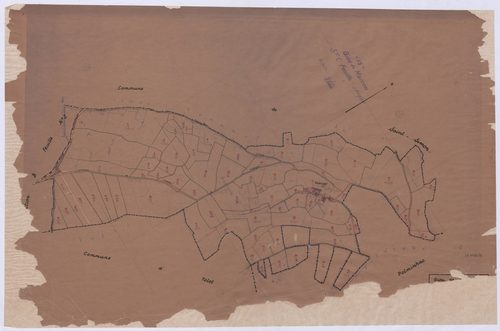 Section C