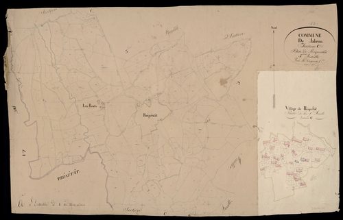 Section C5 dite de Réquistat