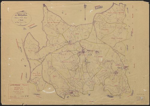 Section C1
