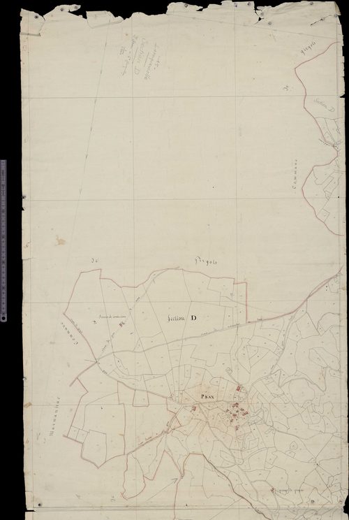 Section D (Prax)