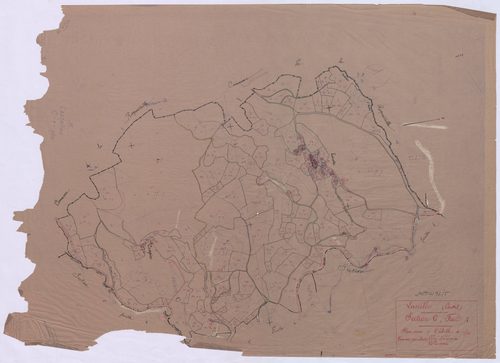 Section C1