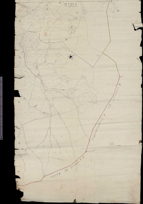 Section B dite de Mandailles (Limites de commune avec Saint-Jacques-des-Blats et Thiézac)