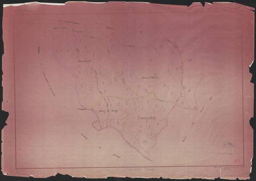 Section AP