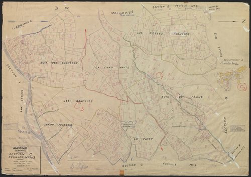 Section C : 1ère et 3e feuilles