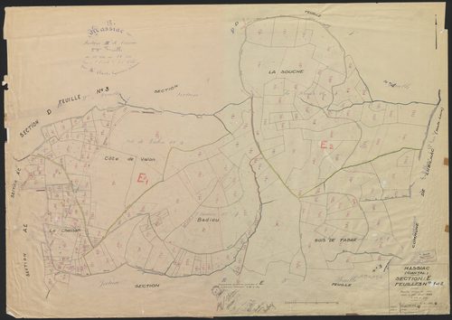 Section E : 1ère et 2e feuilles