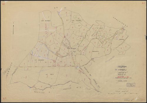 Section A1