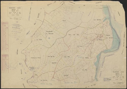 Section C : 1ère et 2e feuilles