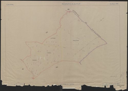 Section AE