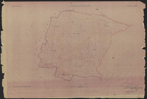 Section AP
