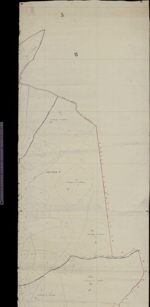 Section C (Limites de commune avec Lacapelle-Barrès)