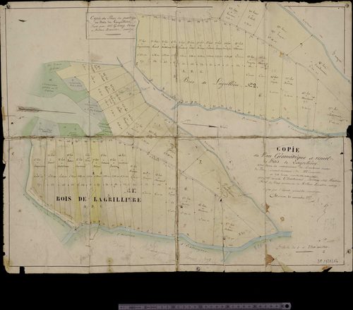 Plan géométrique du bois de Lagrillière, éch. 1/2500