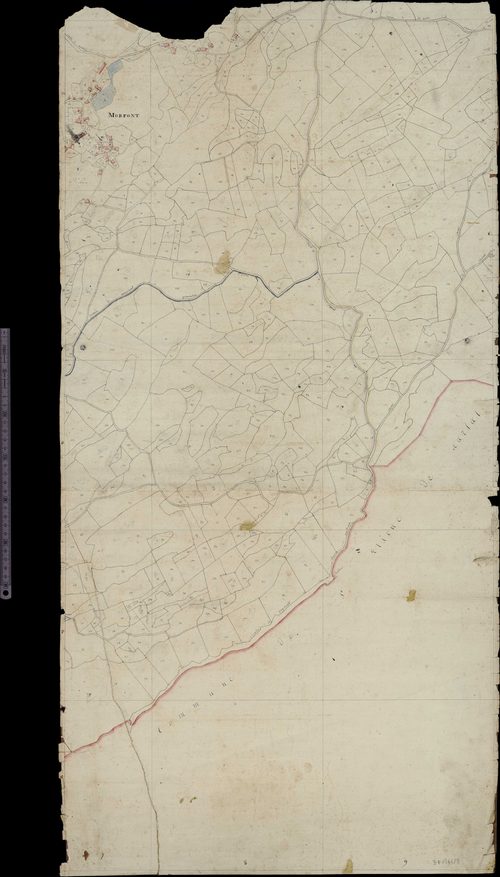 Section D (Marfont)