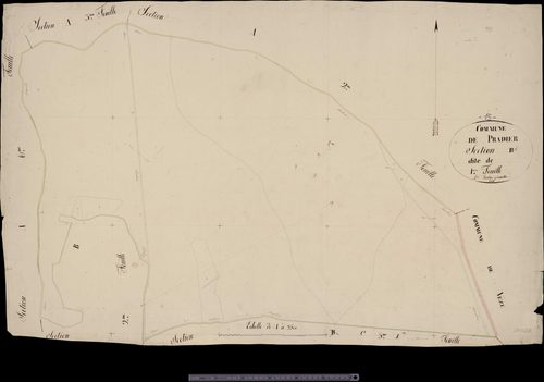 Section B1