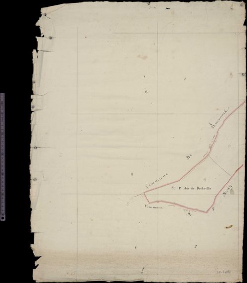 Section F dite de Betheille (Limites de commune avec Roannes-Saint-Mary)