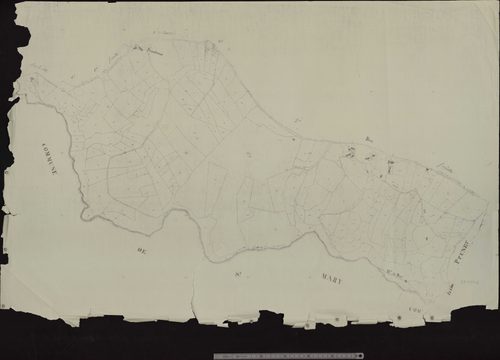 Section C3 (Bex)