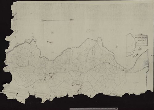 Section D4 (Calves)