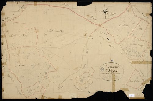 Abzac - 3 P 1/19 - Section H dite de la Forêt d'Availle. Feuille 2.  | 1825