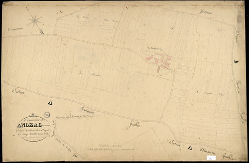 Angeac-Champagne - 3 P 12/2 - Section A dite du Bois d'Angeac. Feuille 1.  | 1850