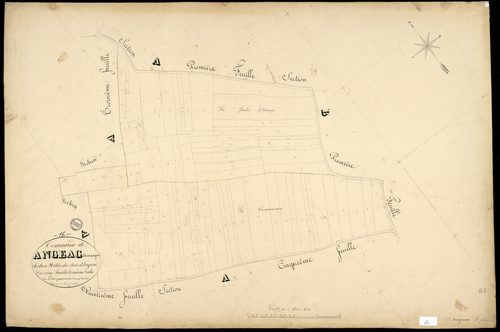 Angeac-Champagne - 3 P 12/3 - Section A dite du Bois d'Angeac. Feuille 2.  | 1850