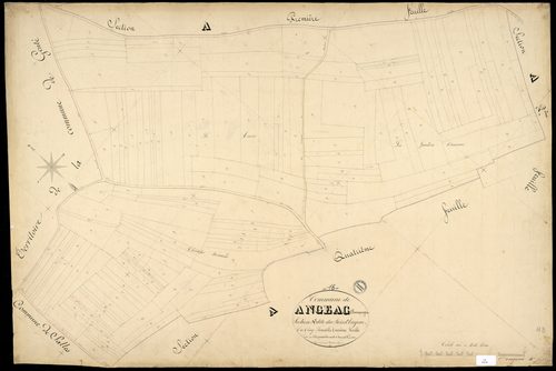 Angeac-Champagne - 3 P 12/4 - Section A dite du Bois d'Angeac. Feuille 3.  | 1850