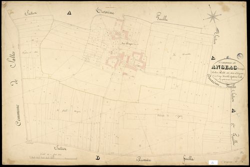 Angeac-Champagne - 3 P 12/5 - Section A dite du Bois d'Angeac. Feuille 4.  | 1850