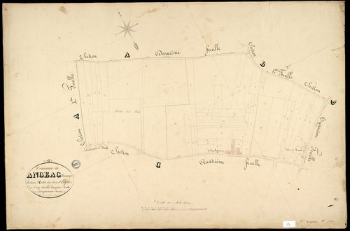 Angeac-Champagne - 3 P 12/6 - Section A dite du Bois d'Angeac. Feuille 5.  | 1850