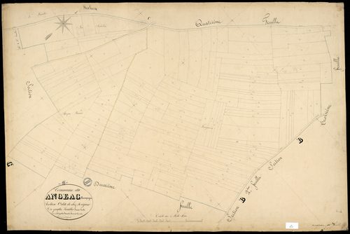 Angeac-Champagne - 3 P 12/10 - Section C dite de chez Reigner. Feuille 1.  | 1850