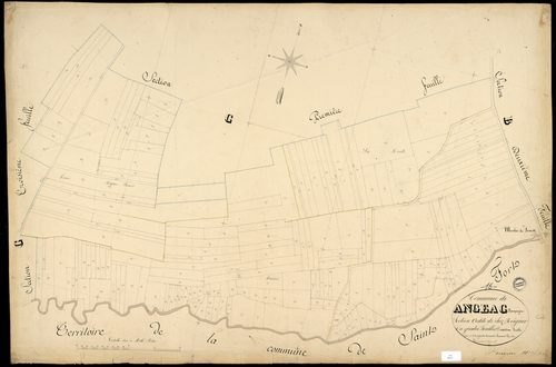 Angeac-Champagne - 3 P 12/11 - Section C dite de chez Reigner. Feuille 2.  | 1850
