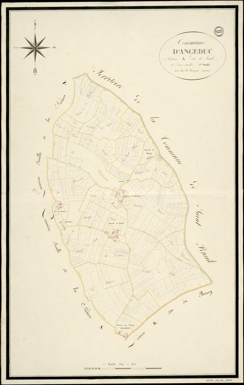 Angeduc - 3 P 14/AC3 - Section A dite de Naud  | 1813