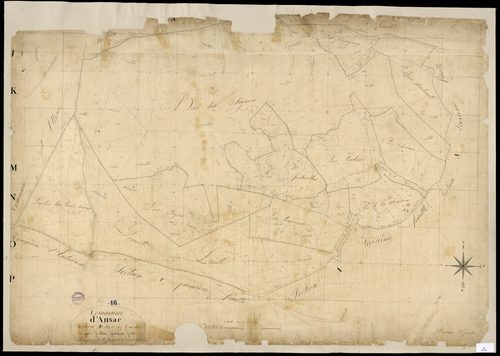 Ansac-sur-Vienne - 3 P 16/5 - Section A dite de chez Gauchier. Feuille 4.  | 1826