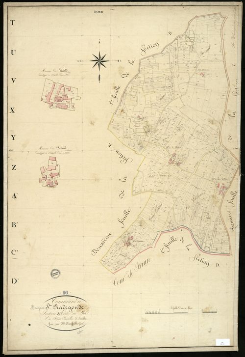 Baignes-Sainte-Radegonde - 3 P 25/14 - Section E dite de Foi. Feuille 3.  | 1825