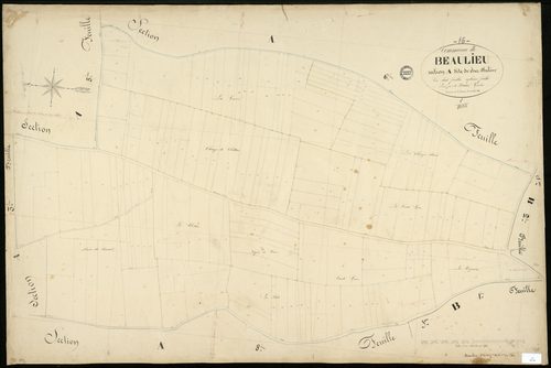 Beaulieu-sur-Sonnette - 3 P 35/8 - Section A dite de chez Phelix. Feuille 7.  | 1851