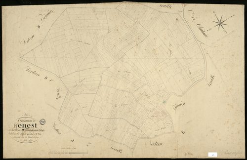 Benest - 3 P 38/11 - Section D dite de Sainte-Terre des Usières. Feuille 1.  | 1836
