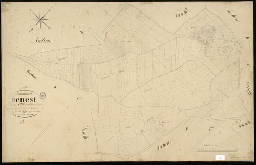 Benest - 3 P 38/13 - Section D dite de Sainte-Terre des Usières. Feuille 2.  | 1836